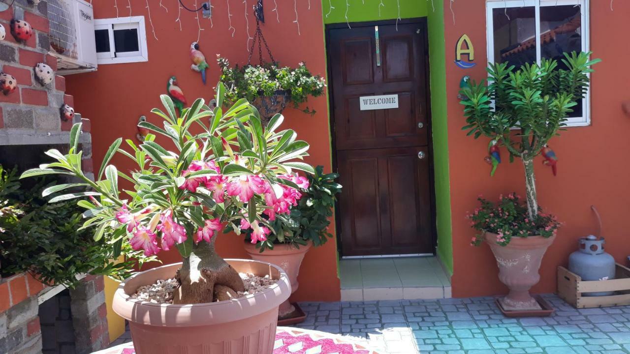 Terrakota Apartments Willemstad Dış mekan fotoğraf